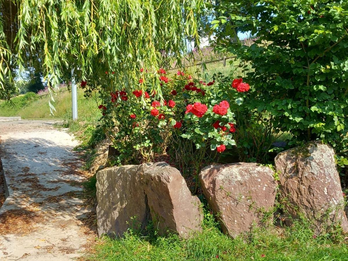 A La Memoire De Merlin & Spa Saint-Malon-sur-Mel Extérieur photo
